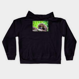 Smudge painting of an Echidna Kids Hoodie